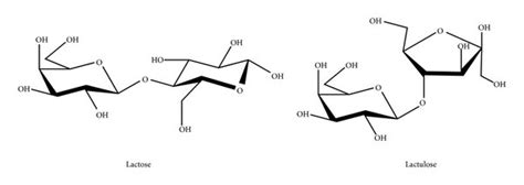 Structure Of Lactose