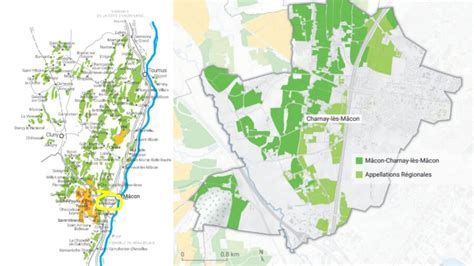 Un Tr S Beau Vin Blanc Du M Connais D Couvrir Les Ch Nes Domaine