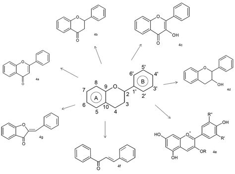 Molecules Free Full Text Valorization Challenges To Almond Residues