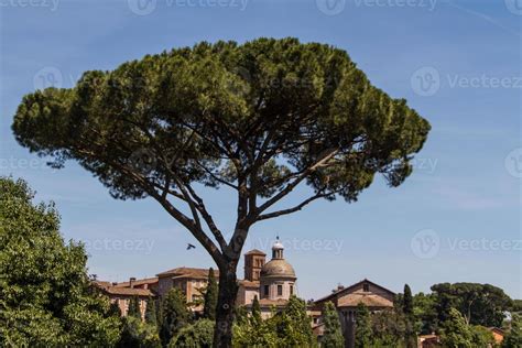 Roman ruins in Rome, Forum 8473017 Stock Photo at Vecteezy