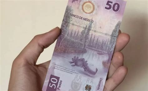 Características del BILLETE de 50 pesos del ajolote Banxico