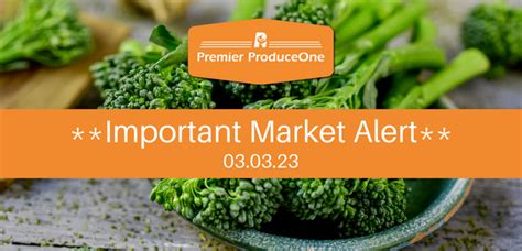 Broccolini Update Blog