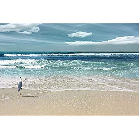 Amazon Renditions Gallery Beach Nature S Symphony D Cor For Home