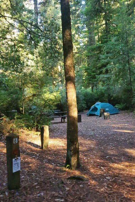 Jedediah Smith Campground - Jedediah Smith Redwoods State Park | Park Ranger John