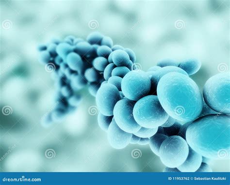 Staphylococcus stock illustration. Illustration of science - 11953762