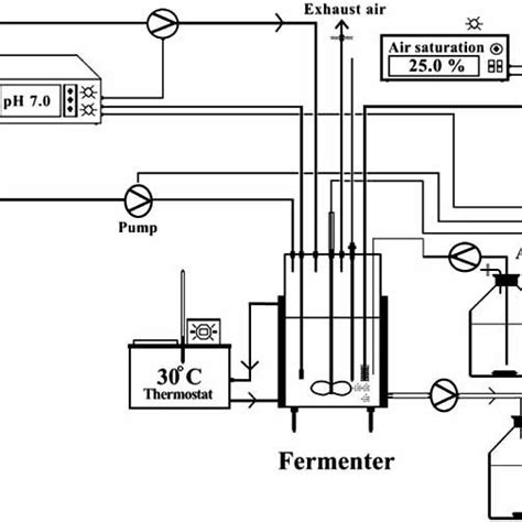 Flow Scheme Of L Lysine Formation Pathway Download Scientific Diagram