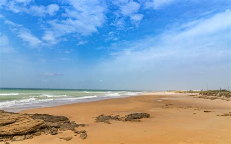 Playa de El Palmar / Costa de la Luz / Andalusia // World Beach Guide