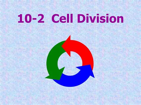 Ppt Chapter 10 Cell Growth And Division Powerpoint Presentation Id