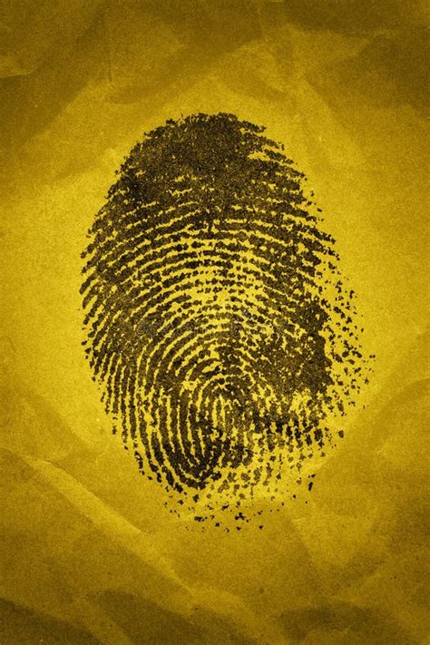 Blue Fingerprint Identity Id Stock Image Image Of Evidence Identity