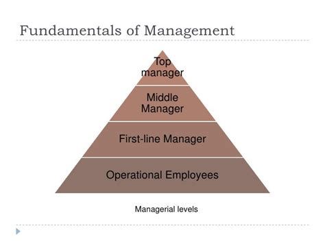 Fundamentals Of Management Lesson 1