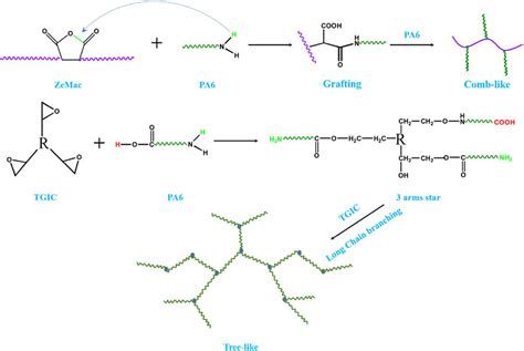 The Reaction Diagrams Of The Two Modification Methods And The Possible