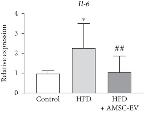 Effect Of Amsc Evs In Rats With Hfd Induced Steatohepatitis A Gross