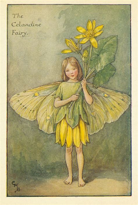 Cicely Mary Barker Flower Fairies Of The Spring 1923 Ill… Flickr