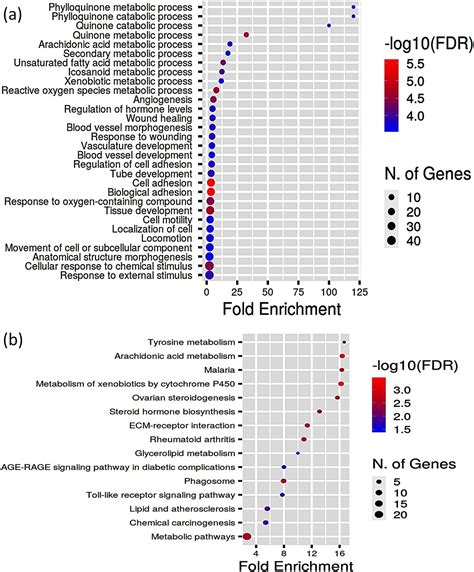 Analysis Of Differentially Expressed Genes And Signaling Pathways