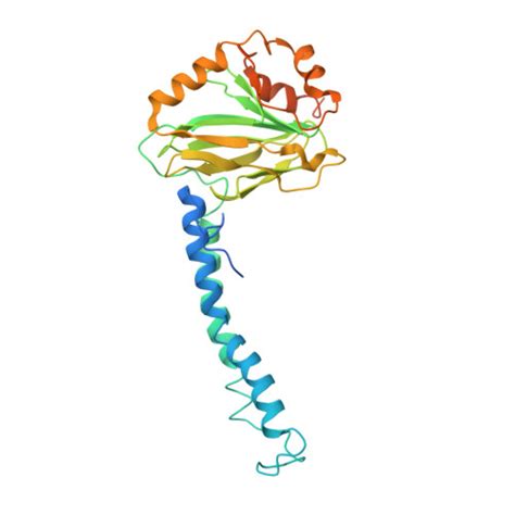 Rcsb Pdb 8go3 Cryo Em Structure Of Escherichia Coli Cytochrome Bo3