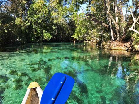 Weeki Wachee Kayak With Manatees See The Mermaids