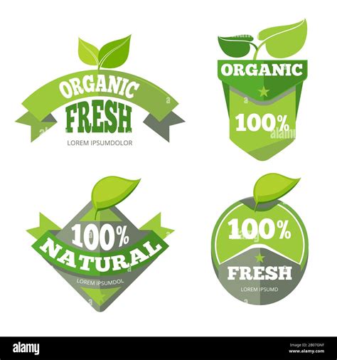 Natural Green Organic Eco Labels Set Bio Sticker With Leaf Vector Illustration Stock Vector