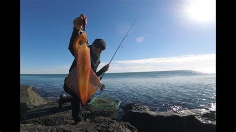 Peche Calamar Du Bord Avec Une Gopro Youtube