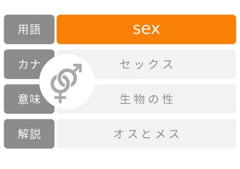 【超特価sale開催！】 性 セックス とはなにか