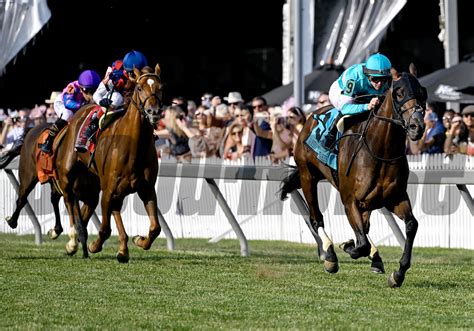 Black Eyed Susan And Preakness Stakes Days Bloodhorse Photo Store