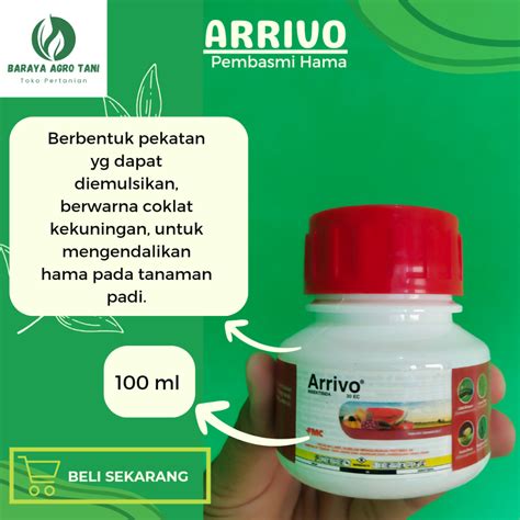 Jual Arrivo 30 EC 100 Ml Insektisida Sistemik Racun Kontak Pembasmi