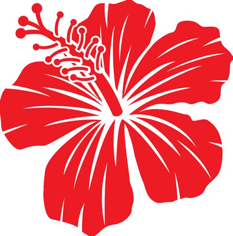 Hawai Dibujo Flor De Hibisco Dibujos Animados Hibisco Png Clipart