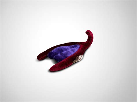 Vulva Vagina FGM PAOMI Part Of Mine