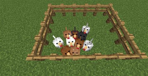 Minecraft Chicken Texture Layout