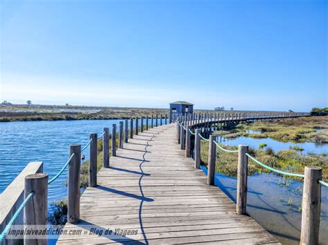 Passadi Os Da Ria De Aveiro Em Esgueira