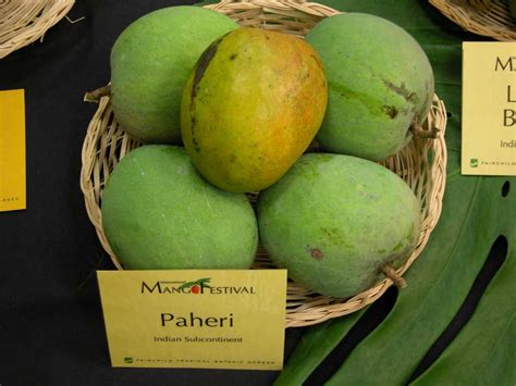 24 Varieties Of Mangoes In India And Where To Find Them