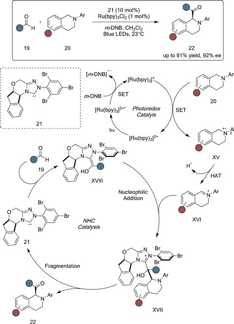 Photoredox Dual Catalysis A Fertile Playground For The Discovery Of