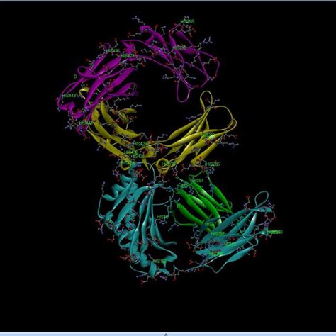 Figure S1. Structure of murine Fc-FcRn complex [20] used in... | Download Scientific Diagram