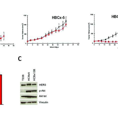 Mir 205 And Her3 Expression In Pdx Models Tumor Growth Curves Of Her2