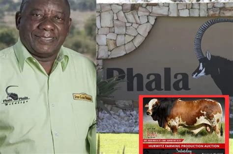 Ramaphosa Spends A Whopping R35 Million On Boran Bull At Auction