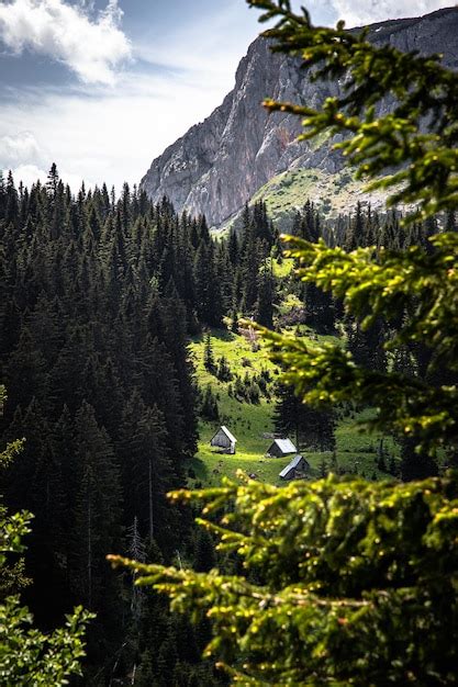 Premium Photo Vertical Shot Of Rocky Hills Covered In A Forest Under