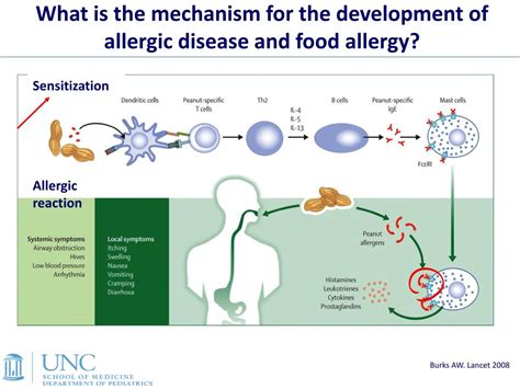 Ppt Oral And Sublingual Immunotherapy For Food Allergy Powerpoint Presentation Id 4309061