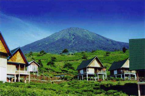 Wisata Kebun Teh Gunung Dempo Pagar Alam Pagaralam Net