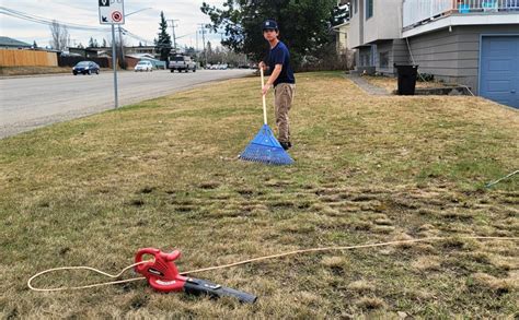 Spring Yard Cleanup Tips For Prince George Homeowners Prince George