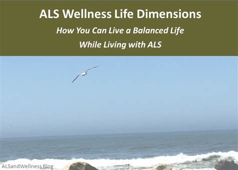 Als And Wellness Blog Als Wellness Life Dimensions Model How You Can Live A Balanced Life