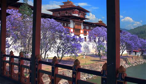 6 Must Visit Tourist Attraction In Phuentsholing Bhutan Lifeberrys