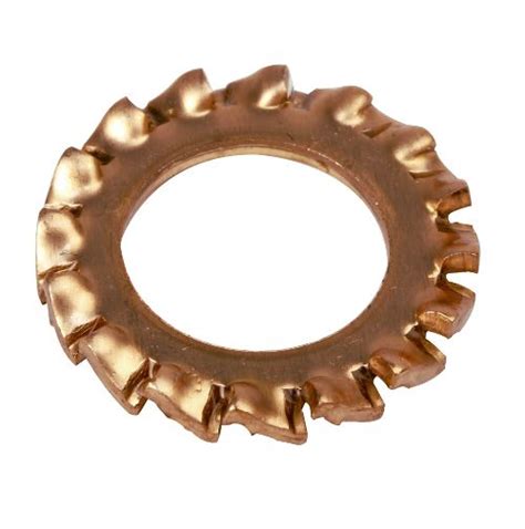 M Int Serrated Lock Washer Phosphor Bronze