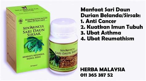 Sihat Dengan Kembali Ke Herba Ubat Herba Untuk Kanser Usus Kanser