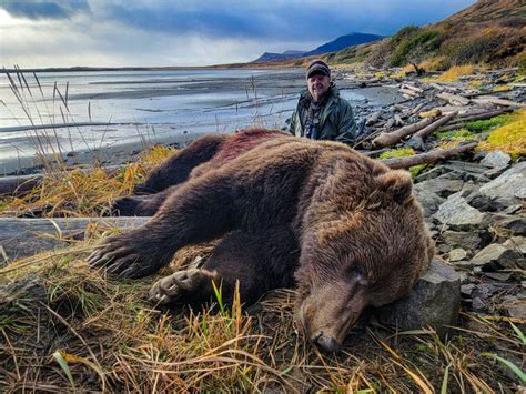 Alaska Peninsula Brown Bear Hunts » Outdoors International