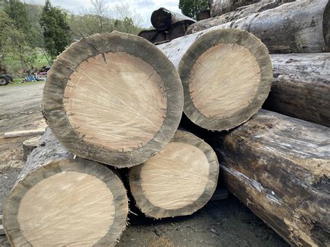 Sustainable Wood Products