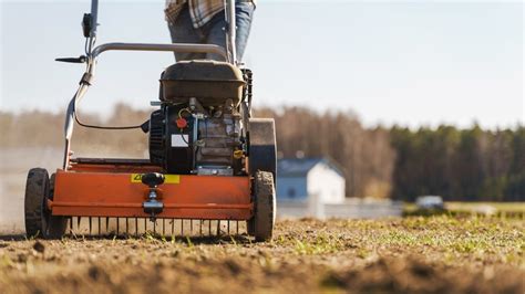 Why You Should Aerate Your Lawn Before Fertilizing