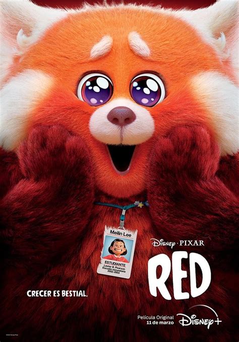 Red De Qué Trata Cuándo Se Estrena Y Dónde Ver La Película De Disney