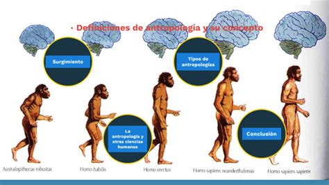 Definiciones De Antropología Y Su Concepto By Steven Jaqui On Prezi