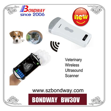 Wireless Veterinary Ultrasound Scan Machine Ultrasound Transducer Usg