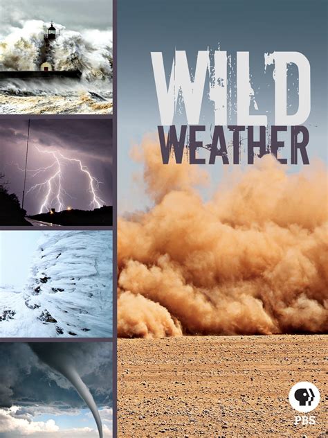 Wild Weather - Posters — The Movie Database (TMDB)