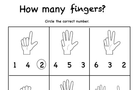 How Many Fingers Graphic By Lorys Kindergarten Resources · Creative